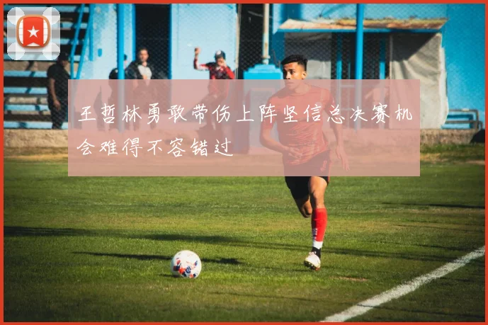 王哲林勇敢带伤上阵坚信总决赛机会难得不容错过