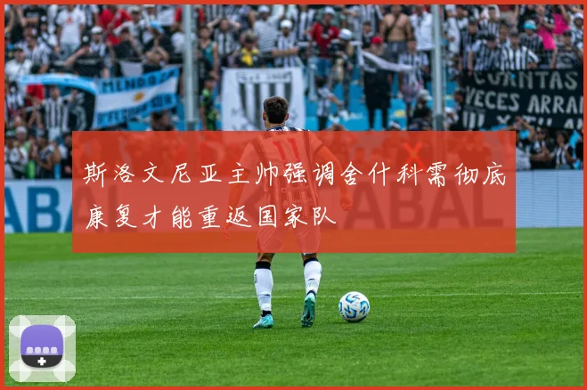 斯洛文尼亚主帅强调舍什科需彻底康复才能重返国家队